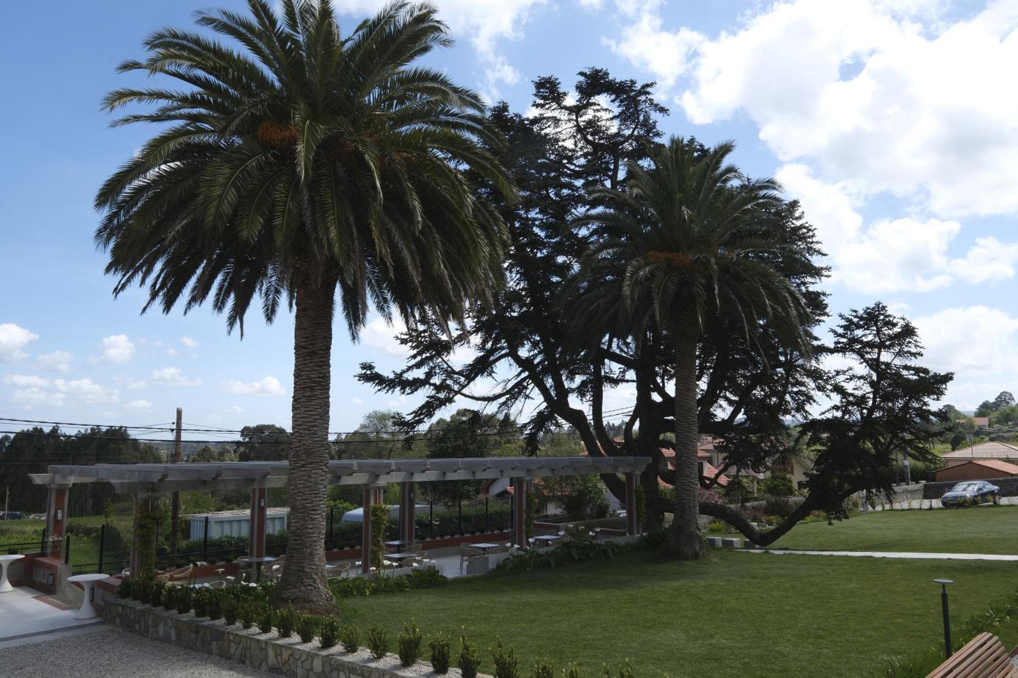 Hotel El Rosal De Cudillero Eksteriør bilde